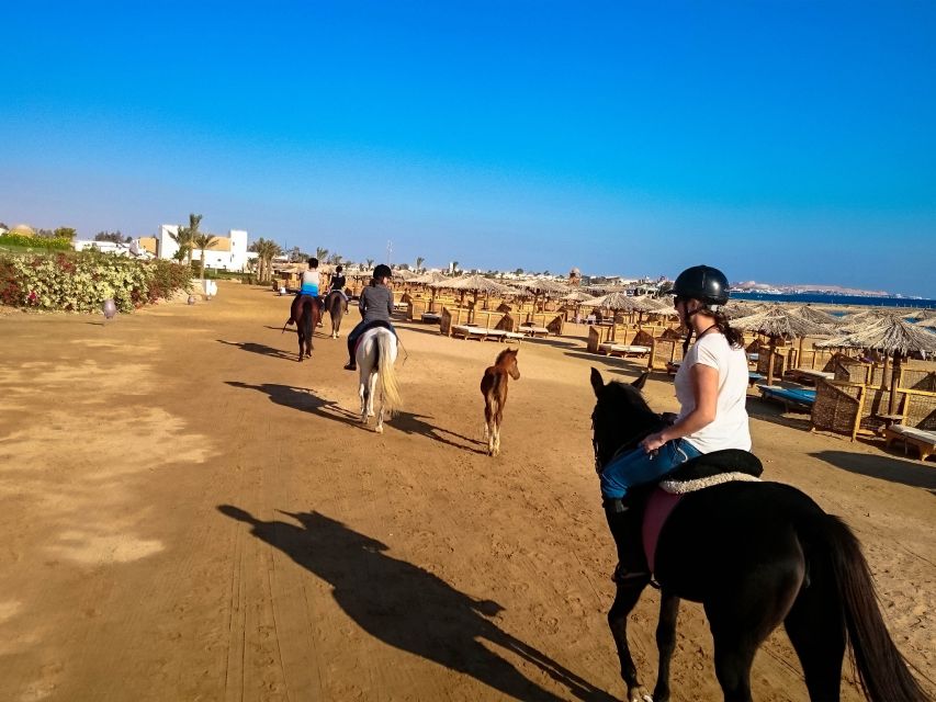 El Gouna: Desert & Sea Horse Riding With Swimming Optional - Quad + Horse and Stargazing Combos for More Variety