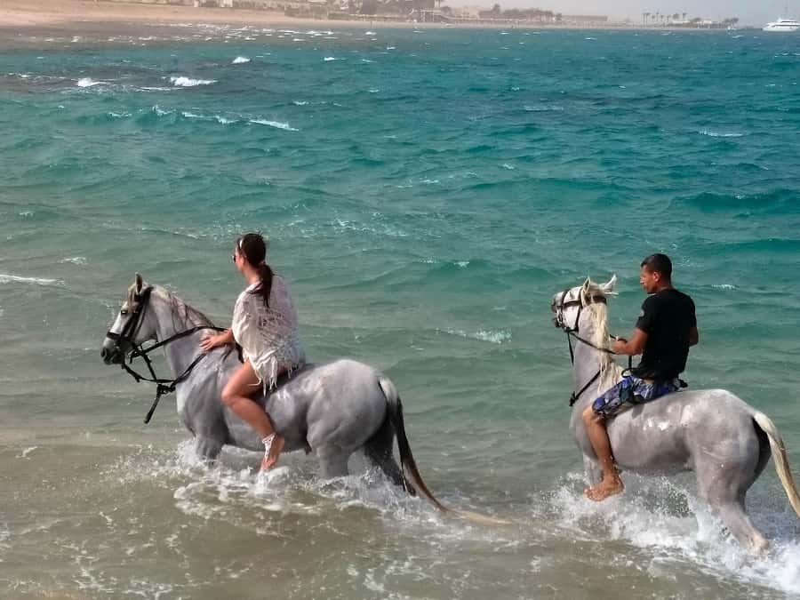 El Gouna: Desert & Sea Horse Riding With Swimming Optional - Transfers, Timing, and Finding the Entrance From El Gouna and Beyond
