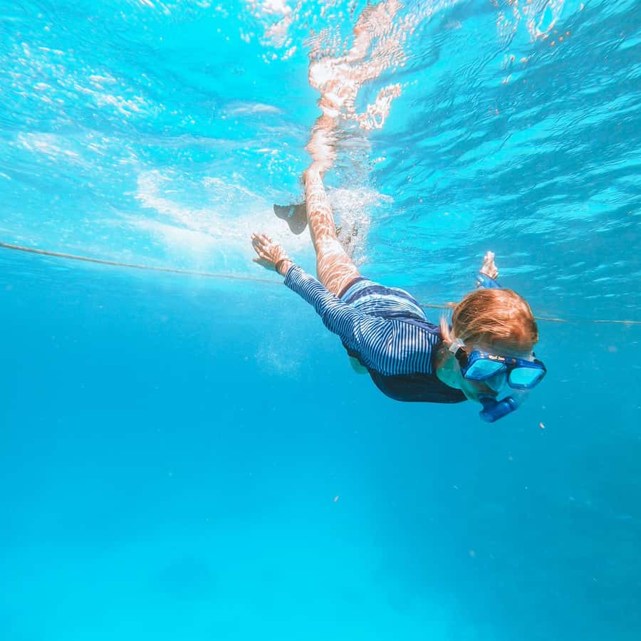 El Gouna: Red Sea Snorkeling Adventure with Transfers - Getting From Your El Gouna Hotel to the Red Sea Without Hassle