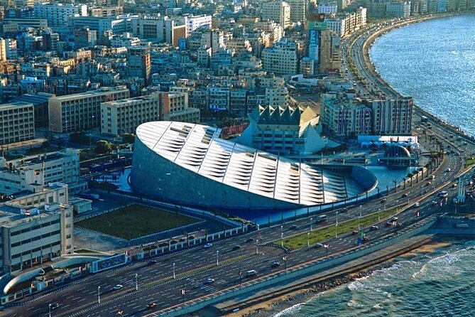 Enjoy A Full-Day Tour to Alexandria From Cairo Private - The day’s timing: where the hours really go