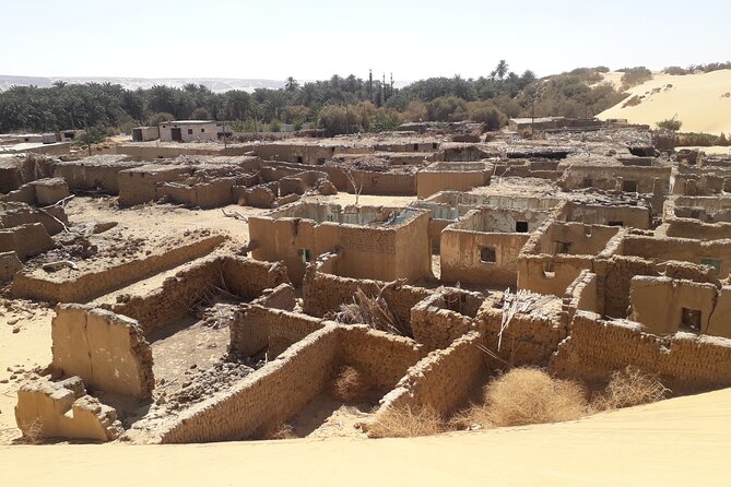 Enjoy safari The black and white desert two night 3 days - What’s the group size really like, and what that changes for you