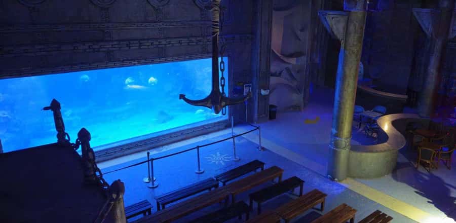 Entry Ticket: Grand Aquarium Hurgada - Key Points You Should Know Before You Go