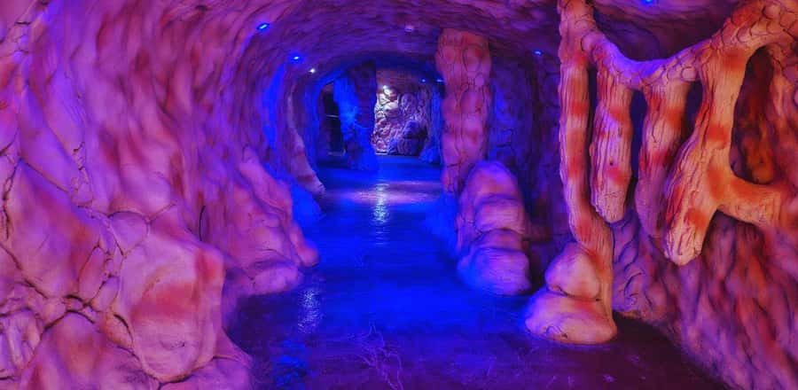 Entry Ticket: Grand Aquarium Hurgada - The Hanging Rope Bridge: The One Part I’d Plan Around