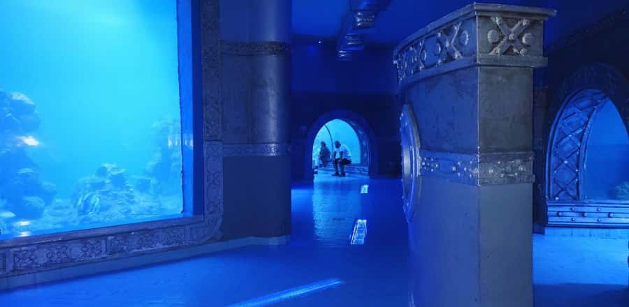 Entry Ticket: Grand Aquarium Hurgada - Entering Hurghada Grand Aquarium: The Layout That Makes 2 Hours Feel Short