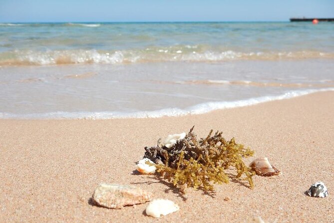 Excursion to the White Island & Ras Mohammed National Park from Sharm El Sheikh - What’s included, what’s not, and the extras that can surprise you