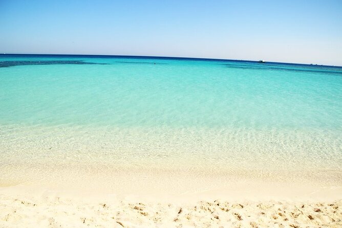 Excursion to the White Island & Ras Mohammed National Park from Sharm El Sheikh - Value and price: what $26.65 gets you, and what you should budget
