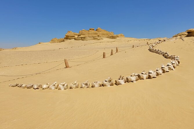 Fayoum Adventure: Whales Valley,4x4 Desert Safari & Wadi Rayan - The 4x4 to Wadi Al-Hitan: dunes, fossil stories, and a slow-and-steady pace