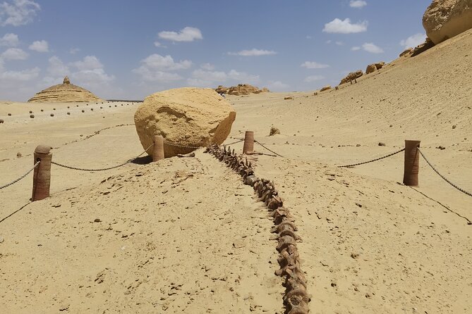 Fayoum Oasis Adventure 4WD Desert Safari with Traditional Lunch - The Waterfalls Stop and What to Expect