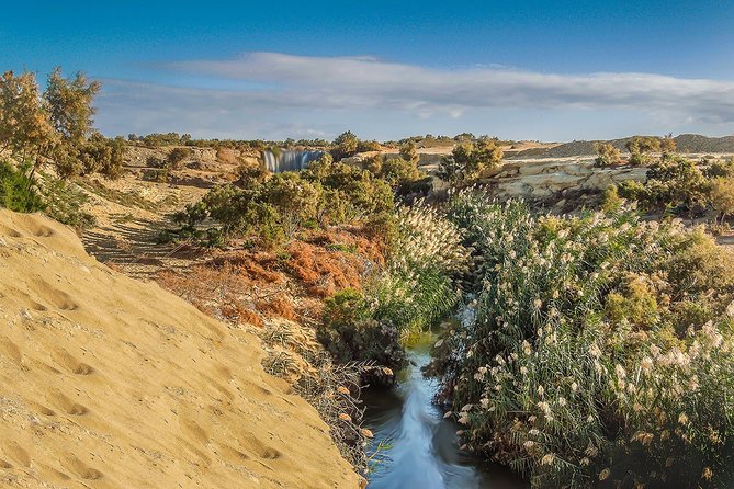 Fayoum Oasis Tour to Karanis, Qarun Lake, Wadi El Rian Waterfalls - Price and Value: Why $105 Can Make Sense Here