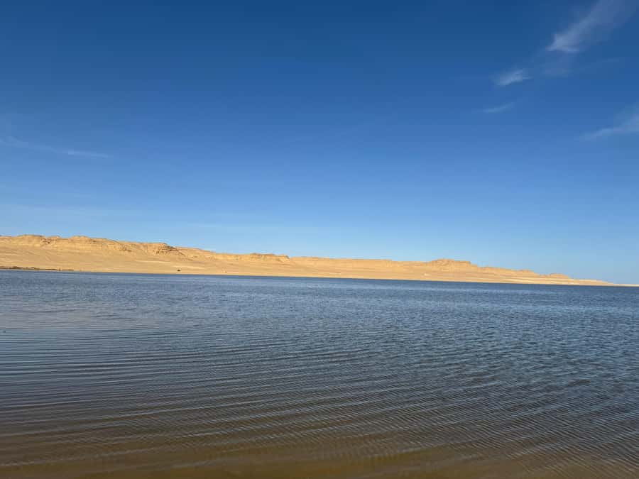 Fayoum: Qarun Sahara Safari With( ATV ) Quad bike From Cairo - From Cairo to Fayoum, the day starts with real travel time