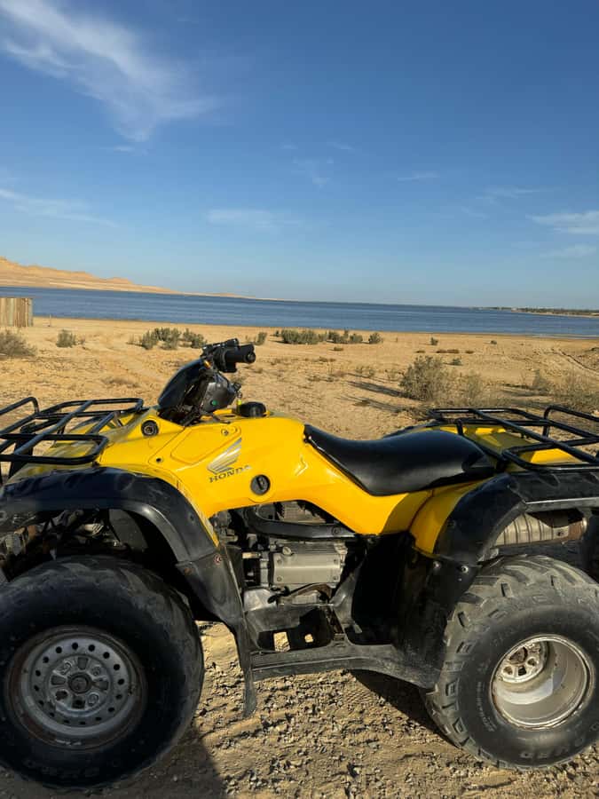 Fayoum: Qarun Sahara Safari With( ATV ) Quad bike From Cairo - The quad ride itself, 2 to 4 hours of desert driving