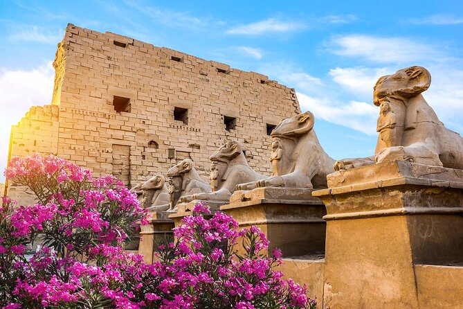 First impression of Luxor-Explore secrets of Luxor by horse carriage - Avenue of Sphinxes: sand-buried road to a 2021 reopening