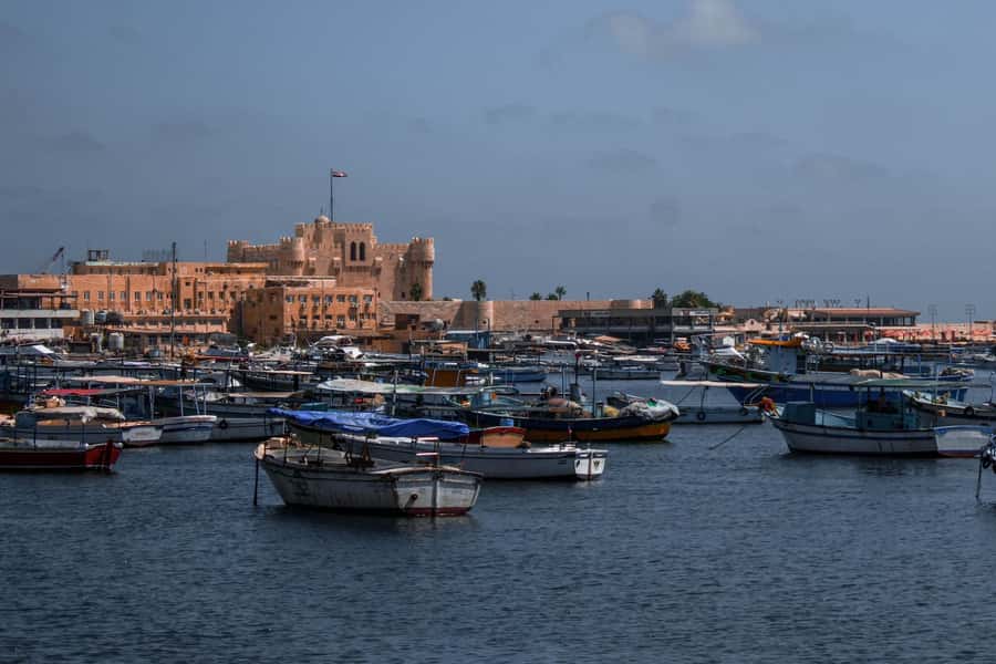 From Alexandria:- Alexandria Top Highlights half-day tour - The biggest and oldest mosque: a major stop that deserves respect