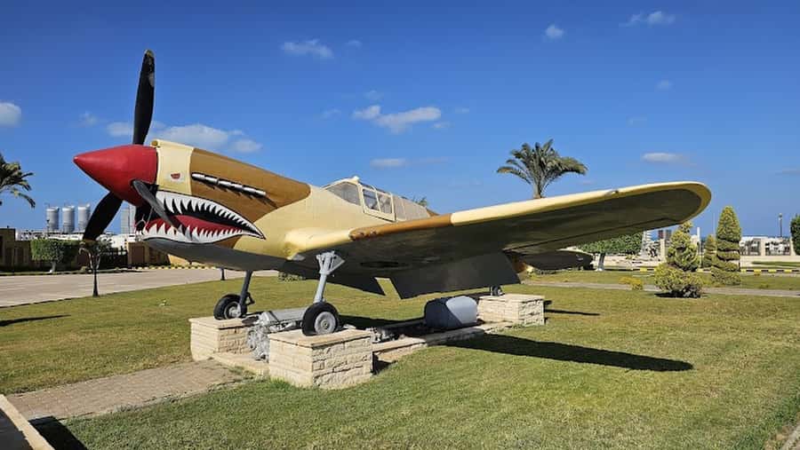 From Alexandria: El Alamein Day Trip - Rommel and the Desert Fox: the guide’s job is to make names mean something