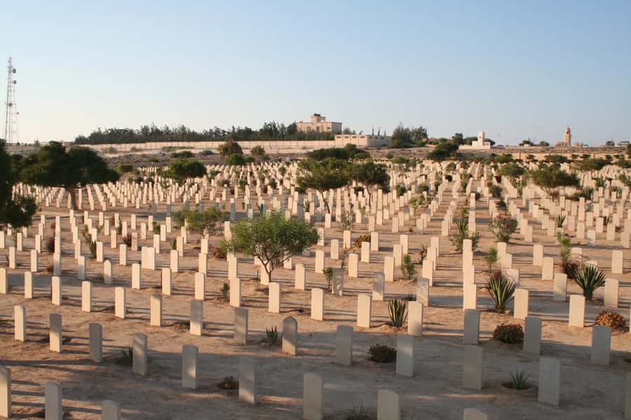 From Alexandria: El Alamein Day Trip - Practical tips to make your day smoother