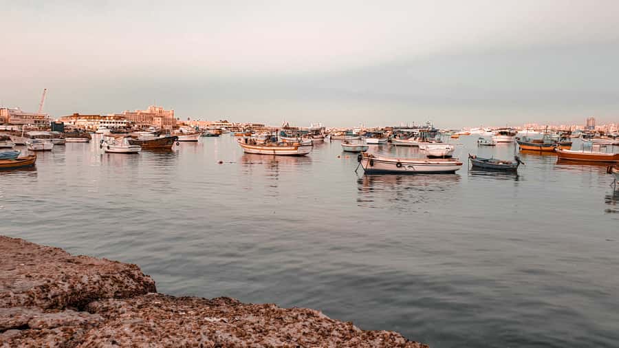 From Alexandria: Highlights of Alexandria Full City Tour - Price and Value: What $65 Buys You in a 5-Hour Day