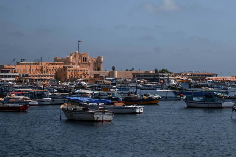 From Alexandria: Highlights of Alexandria Full City Tour - Getting Oriented: Pickup, Car Comfort, and a 5-Hour Rhythm