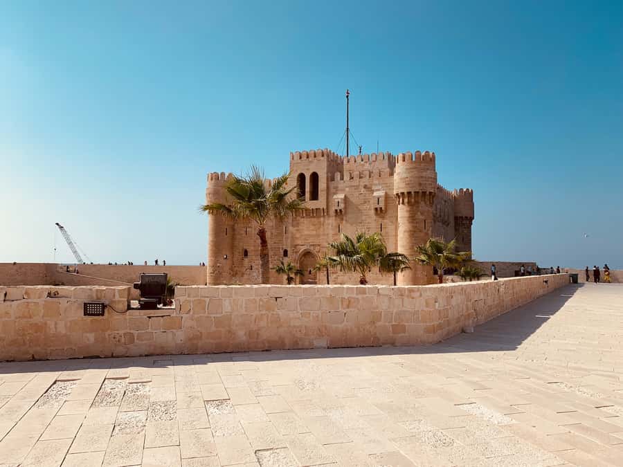 From Alexandria: Highlights of Alexandria Full City Tour - Saint Mark Cathedral: Coptic Alexandria and Hidden Galleries