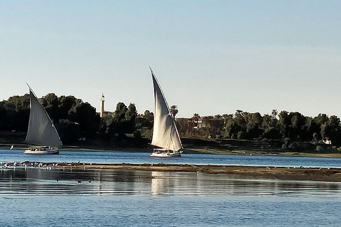 From Aswan: 2 Night-3 Day Nile Cruise & Hot Air Balloon Ride - Abu Simbel at First Light: Why the Early Pickup Matters
