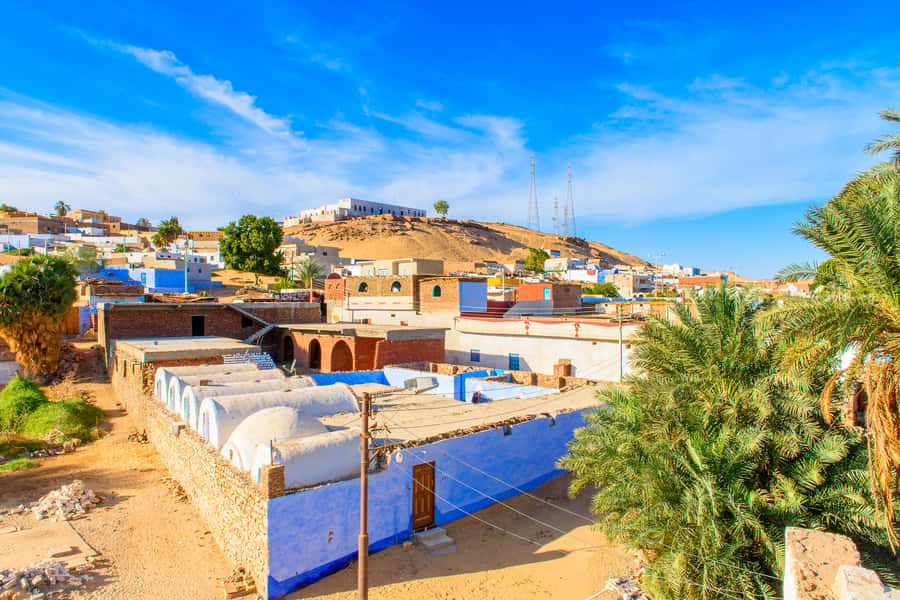 From Aswan: Philae Temple & Motorboat Tour to Nubian Village - Price and what you get for $95