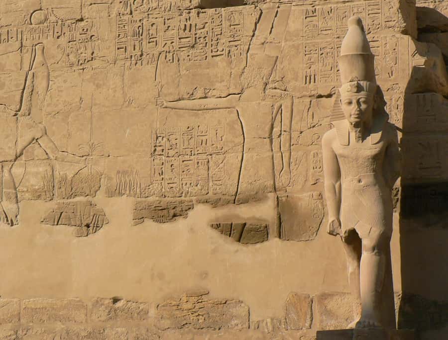 From Cairo: 5-Day Tour with Nile Cruise, Balloon, & Flights - Price and Value: What $1,119 Covers, and What You Must Budget