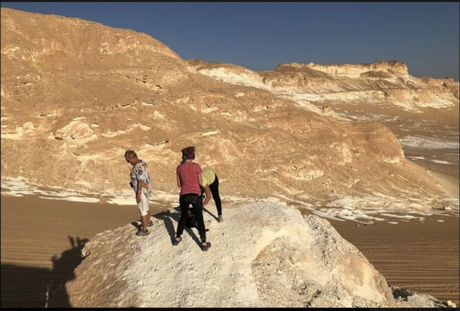 From Cairo: Bahariya Oasis and Black and White Desert Tour - Key Highlights You Should Know