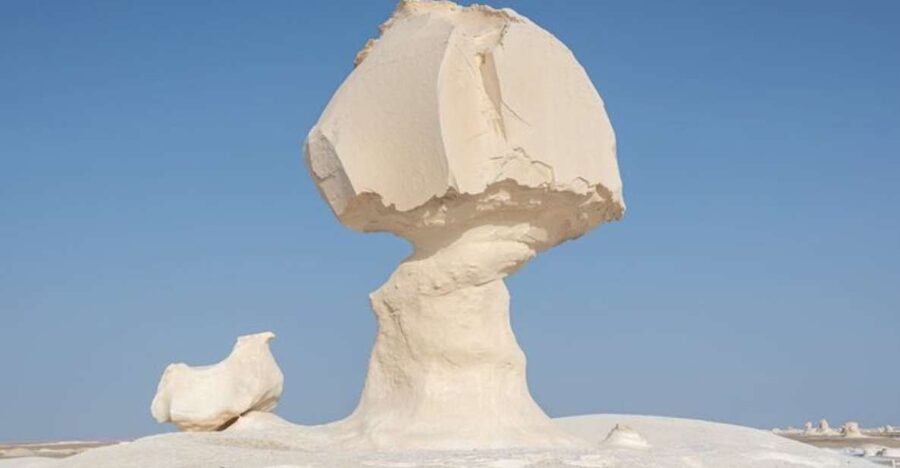 From Cairo: Bahariya Oasis and Black and White Desert Tour - The People Factor: Guides and Drivers Make the Difference