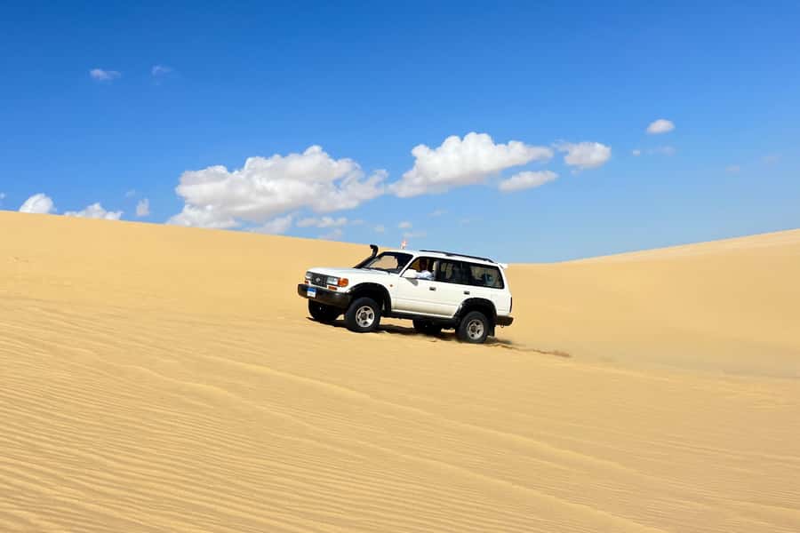 From Cairo: Desert Safari, Camel Ride, Magic Lake, & Lunch - The 10-hour desert rhythm from Cairo to Fayoum
