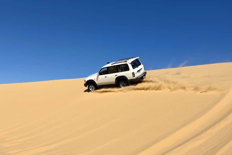 From Cairo: Desert Safari, Camel Ride, Magic Lake, & Lunch - Magic Lake at Fayoum: the color stop you can actually plan around