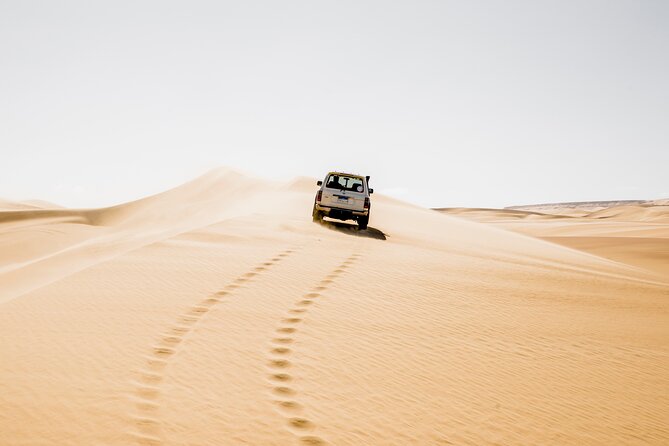From Cairo: Desert Safari, Waterfalls, Sand boarding and Camel ride with Lunch - Key things that make this safari worth your time
