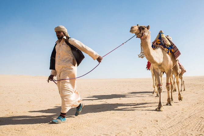 From Cairo: Desert Safari, Waterfalls, Sand boarding and Camel ride with Lunch - Wadi El Rayan: Why this desert day starts with waterfalls