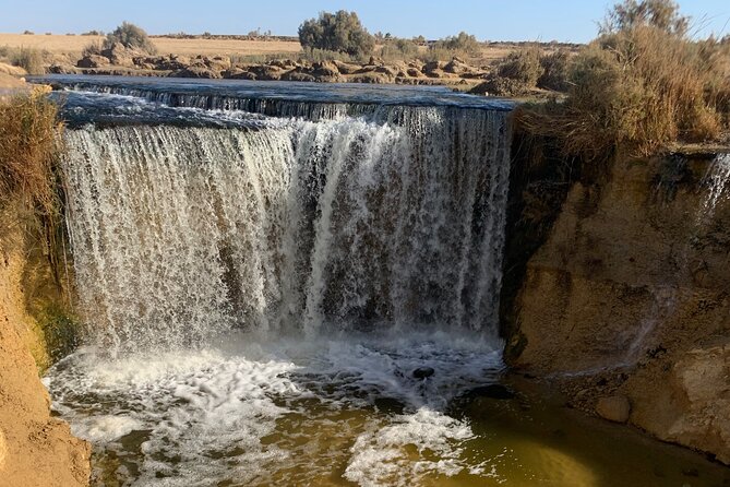 From Cairo: Desert Safari, Waterfalls, Sand boarding and Camel ride with Lunch - Camel ride and Bedouin camp style: more than a quick photo
