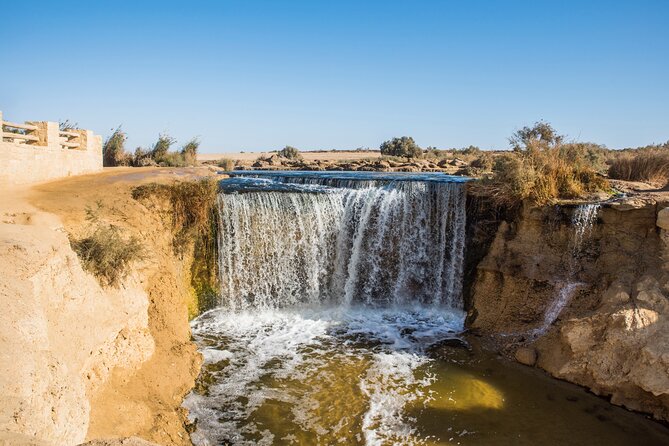 From Cairo: Desert Safari, Waterfalls, Sand boarding and Camel ride with Lunch - Sandboarding: thrilling, but set your expectations
