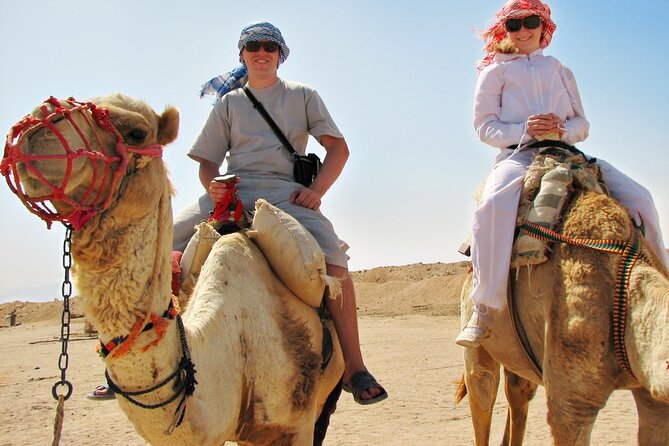 From Cairo: Desert Safari, Waterfalls, Sand boarding and Camel ride with Lunch - Lunch at the Bedouin camp: BBQ, tea, and the best kind of pause