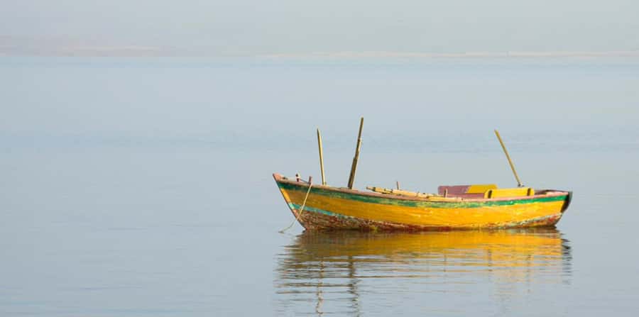 From Cairo: Fayoum Oasis and Wadi Al Rayan Guided Tour - Key Things You’ll Want to Know