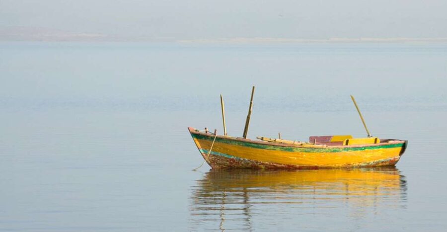 From Cairo: Fayoum Oasis and Wadi Al Rayan Guided Tour - Who This Tour Fits Best (and Who Should Skip It)