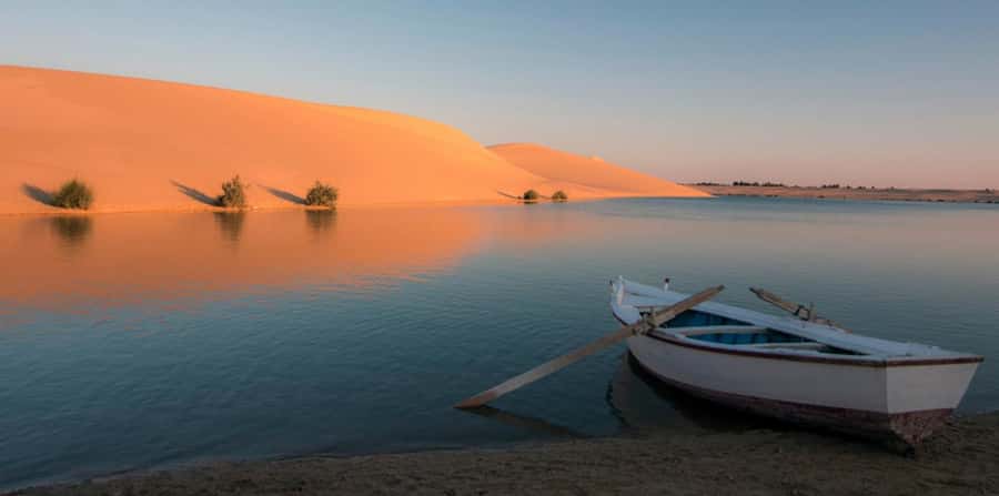 From Cairo: Fayoum Oasis and Wadi Al Rayan Guided Tour - Private Cairo-to-Fayoum Drive: How Much Desert You Really Get