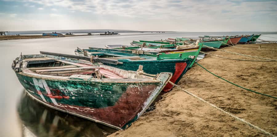 From Cairo: Fayoum Oasis and Wadi Al Rayan Guided Tour - Wadi Al Rayan Nature Reserve: Waterfalls and Springs in a Desert Setting