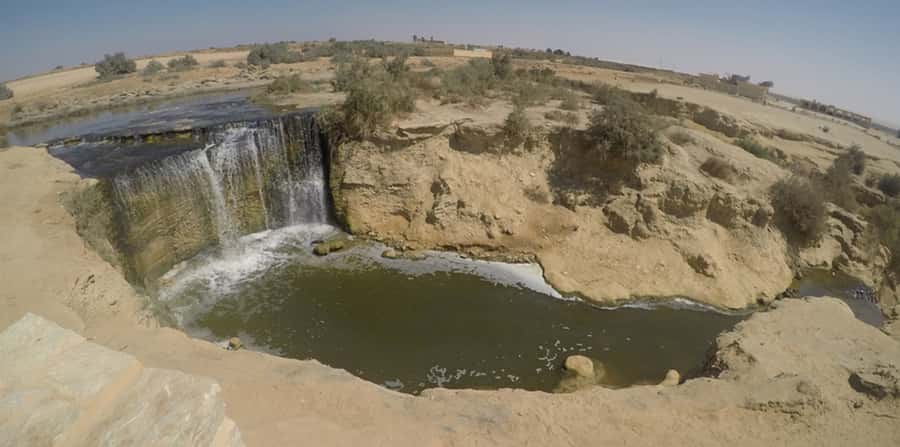 From Cairo: Fayoum Oasis and Wadi Al Rayan Guided Tour - Fayoum Oasis and Qaroun Lake: Desert Water, Bird Watching, Real Quiet