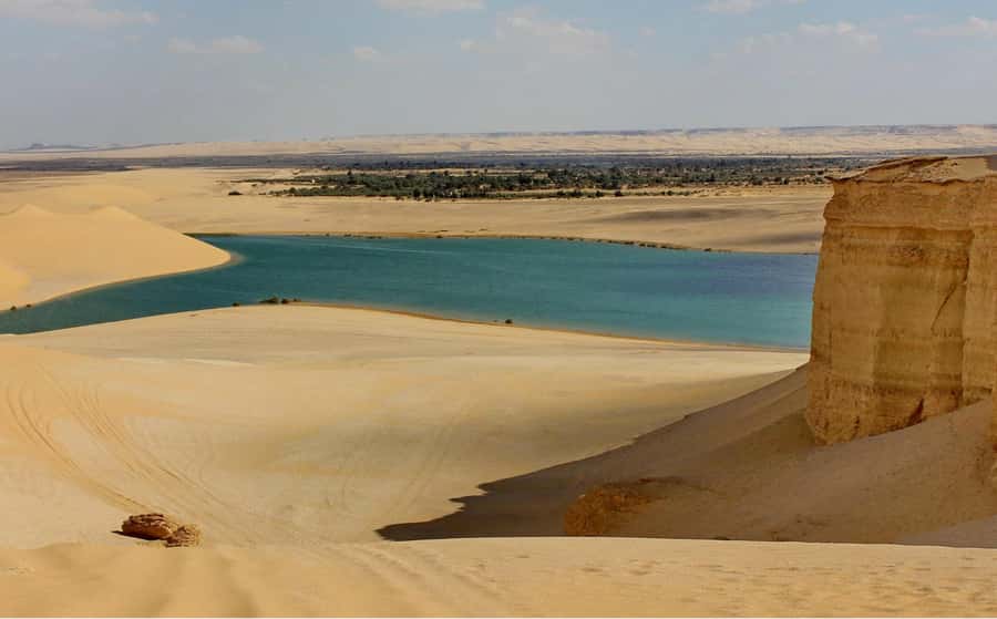From Cairo: Full-Day Tour to El Fayoum - Key highlights to know before you go