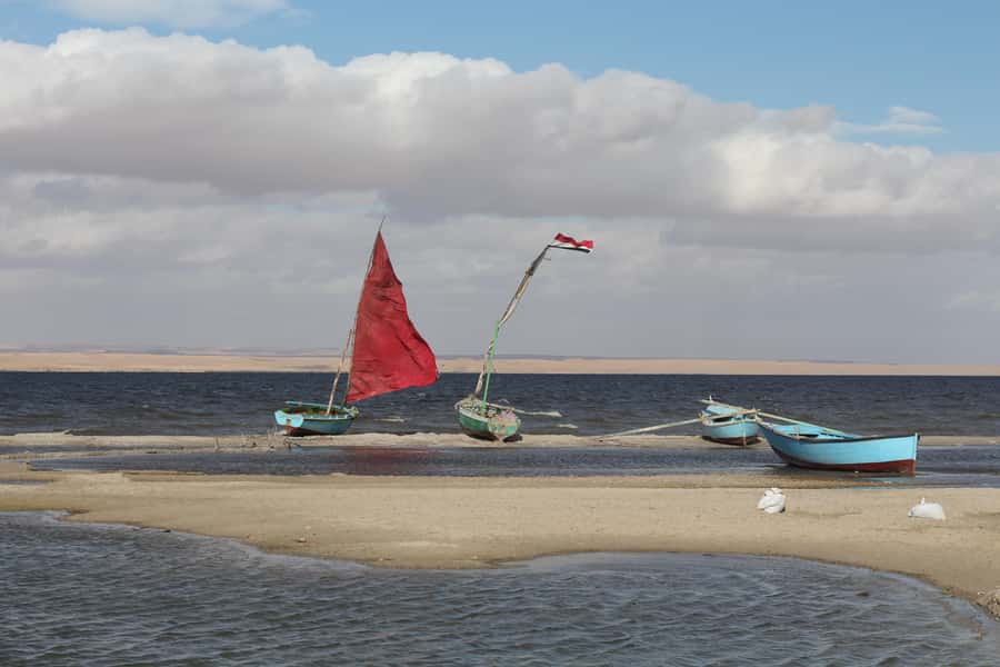 From Cairo: Full-Day Tour to El Fayoum - Qarun Lake: the oldest-natural-lake type of feeling