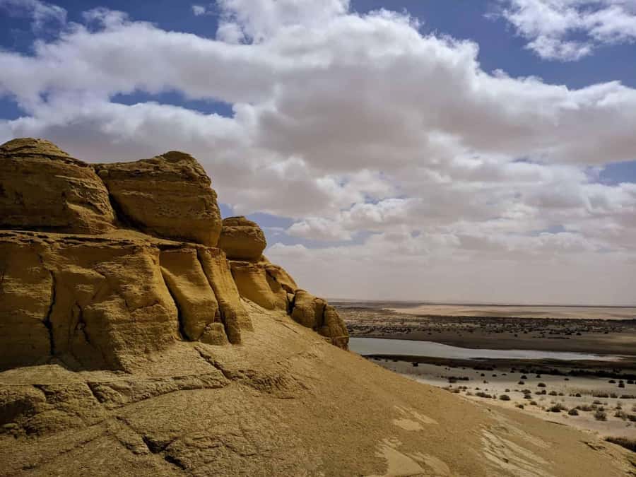 From Cairo: Full-Day Tour to El Fayoum - Wadi Al-Hitan, the Whale Valley: fossils and a small museum moment