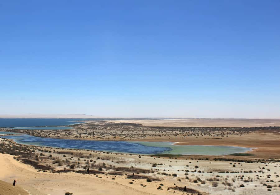 From Cairo: Full-Day Tour to El Fayoum - Desert driving, sandboarding, and Magic Lake: the surreal stretch