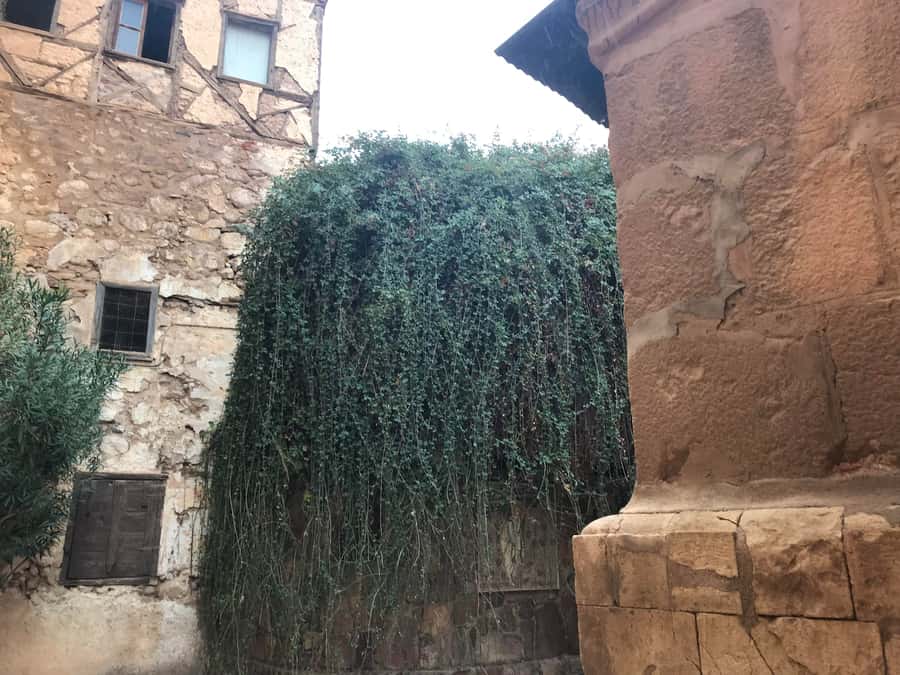 From Cairo‎: Overnight Trip to Saint Catherine Monastery - Who should book this overnight Sinai trip, and who should reconsider