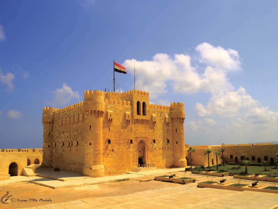 From Cairo: Private Full-Day Tour of Historical Alexandria - Guides and drivers: what repeatedly makes this day tour work