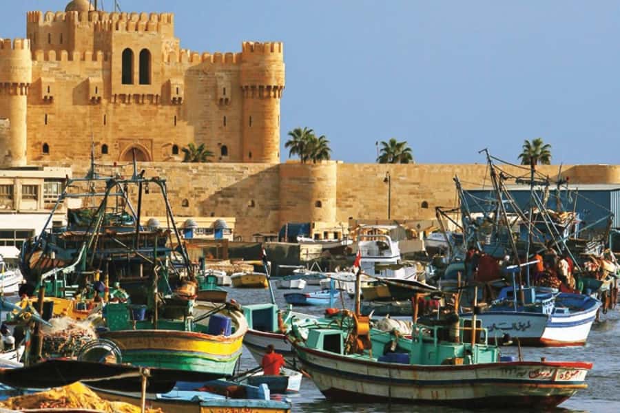From Cairo: Private Full-Day Tour of Historical Alexandria - Cairo to Alexandria in one long, well-led day