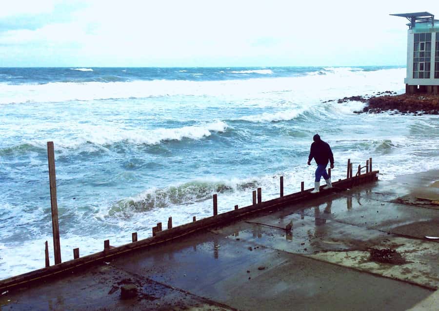 From Cairo: Private Luxurious Day Trip to Alexandria - Key highlights to know before you go