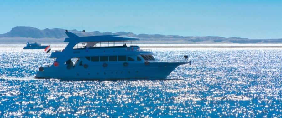 From Cairo: Snorkeling Trip on Yacht with Lunch - Key things to know before you go