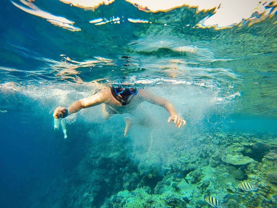 From Cairo: Snorkeling Trip on Yacht with Lunch - The Cairo guided portion: how to use the 3 hours well
