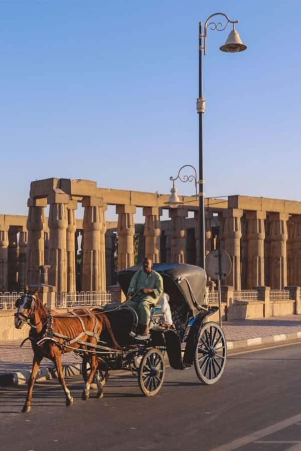 From Cairo: Trip to Luxor By Flight and King Tut Tomb Visit - Who this Luxor day trip is best for